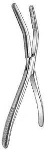 Dura Strip Forceps, Serrated, (21.6cm) 8-1/2"