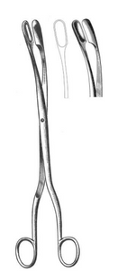 WINTER Placenta Forceps (279cm), cup jaws, curved11"