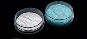 Sugi Endopad- Sterile (6 pcs) Sugi Endopad- Sterile (6 pcs)