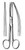 DEAVER Scissors, Curved, Sharp/Blunt, (14cm) 5-1/2" .