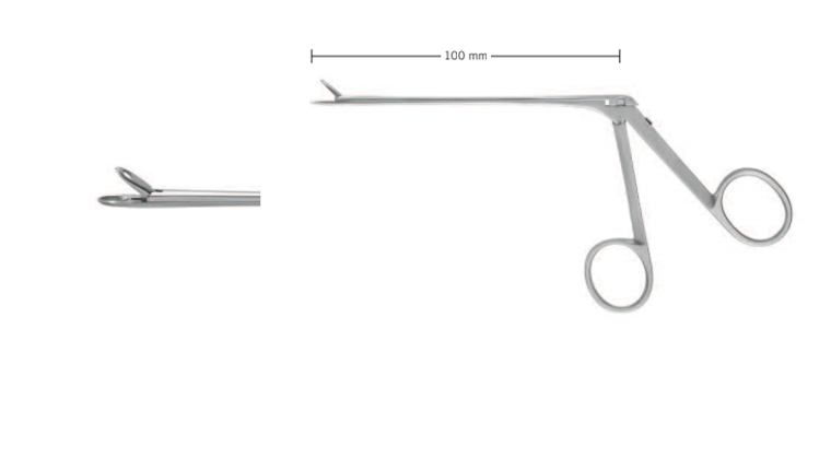 FORCEPS BY STRUEMPEL, STRAIGHT,OVAL CUP-SHAPED JAWS, WL 10CM