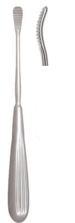 GLABELLA NASAL RASP BY AUFRICHT, 21CM,DOWN-CUTTING