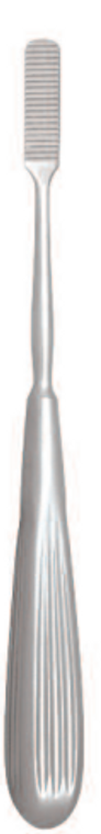 NASAL RASP BY PARKES, WITH 20 FINETEETH, LENGTH 20.5 CM, DOWN-CUTTING