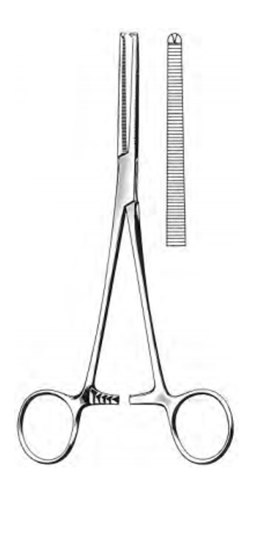 ROCHESTER-OCHSNER Hemostatic Forceps, 1 x 2 teeth, Straight, Satin, (20.3cm) 8"