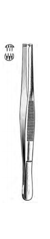 Tissue Forceps, 3 x 4 teeth, (14cm) 5-1/2" .