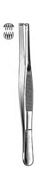 Tissue Forceps, 4 x 5 teeth, (12.7cm) 5"