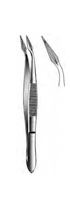 CARMALT Splinter Forceps, Serrated, Straight, (10.8cm) 4-1/4"