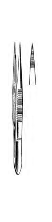 PLAIN Splinter Forceps, No Pin, Fine Points, Serrated, (11.4cm) 4-1/2"