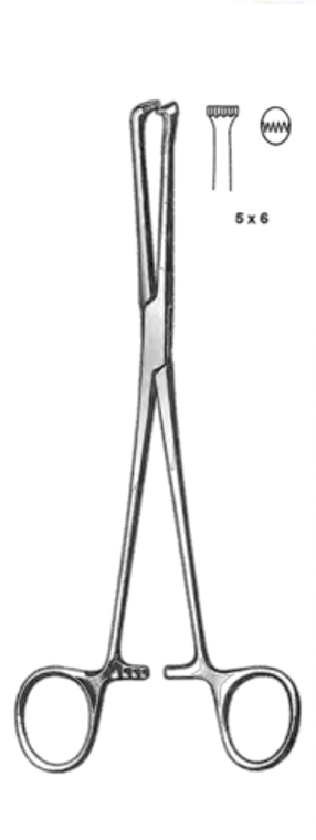 ALLIS Tissue Forceps, 5 x 6 teeth, Satin, (15.2cm) .6"