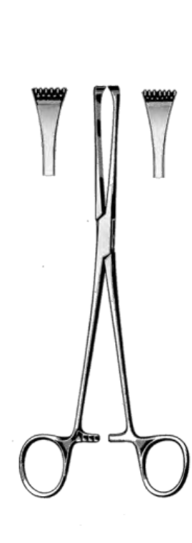 THOMAS-ALLIS Tissue Forceps, 6 x 7 teeth, Satin, (20.3cm)8"