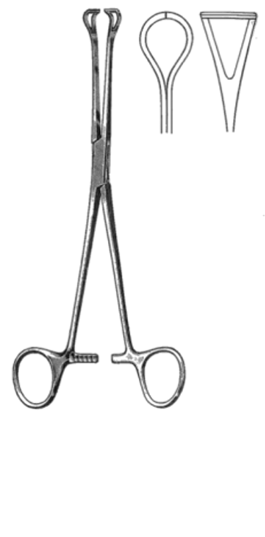 BABCOCK Intestinal Forceps, Satin, 9mm wide jaws, (15.9cm)6-1/4"