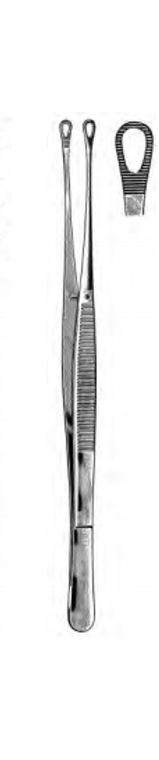 SINGLEY Tissue Forceps, Fenestrated, Serrated Jaws, Satin, (22.9cm) 9"