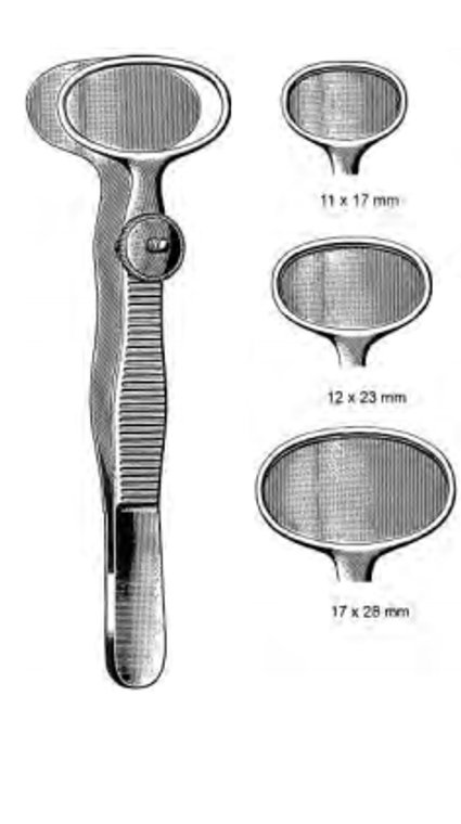 DESMARRES Chalazion Forceps, Small, Inside Ring, 11 x 17mm, Satin, (8.9cm) 3-1/2"