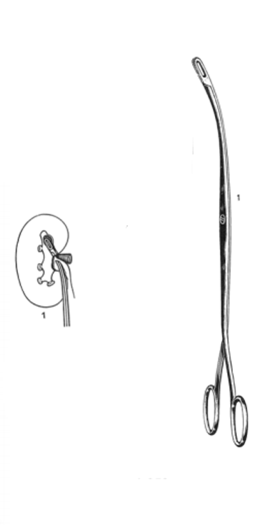RANDALL Kidney Stone Forceps, 1/4 Curved, Satin, (24.1cm)9-1/2"