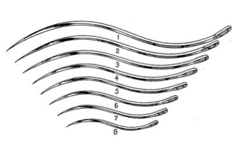 Postmortem Needles, Double Curved, Cutting Edge, Size 2