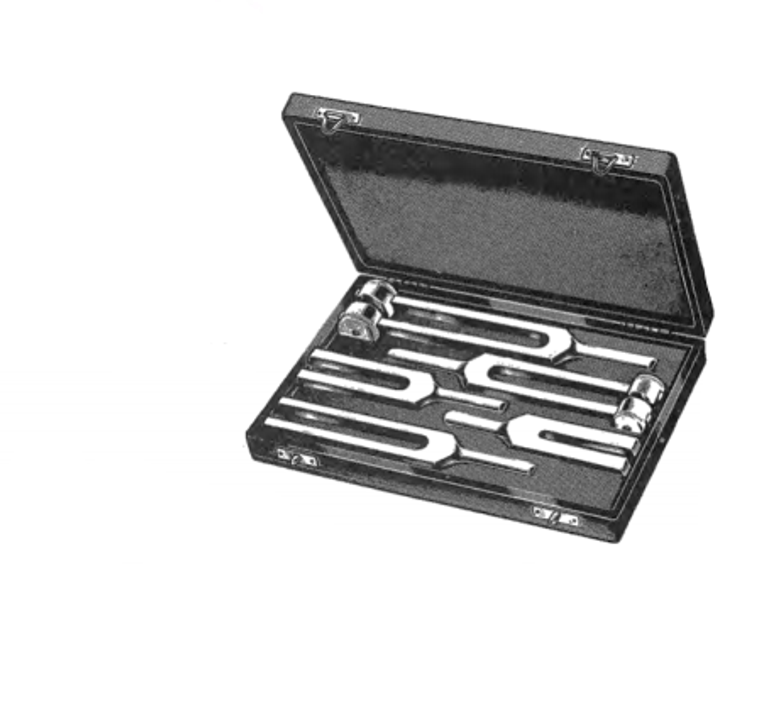 Set of 5 Tuning Forks in Vinyl Case: includes C128, C256, C512, C1024 & C2048