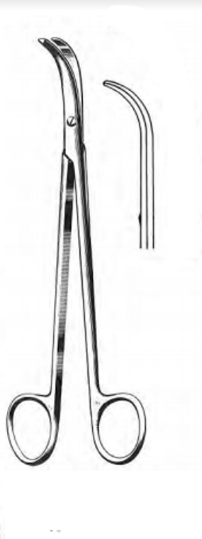 THOREK Scissors, Full Curved, (185cm)7-1/4"