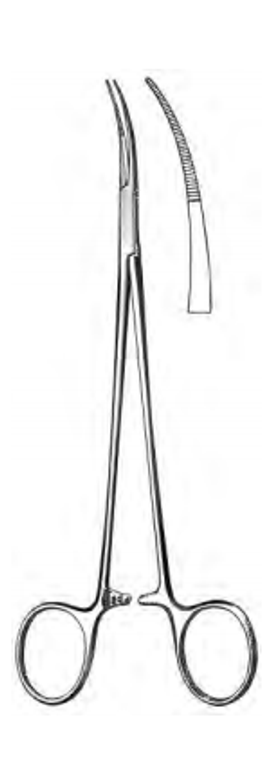 JACOBSON Hemostatic Forceps, Curved, extremely delicate, (178cm)7"