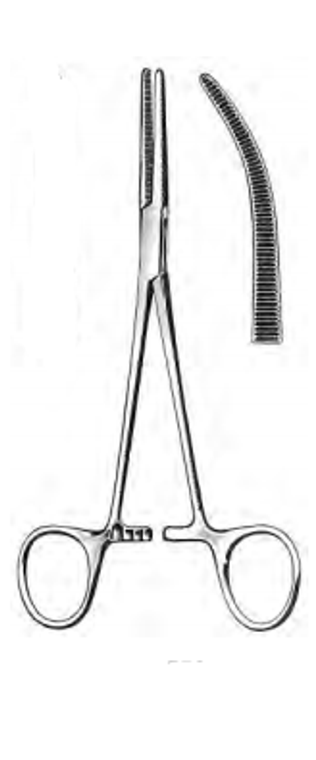 ROCHESTER-PEAN Forceps, Curved, (185cm)7-1/4"