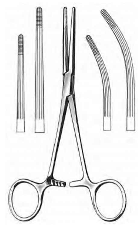 ROCHESTER-CARMALT Forceps, Curved, (16cm) 6-1/4"