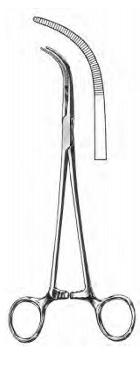 GREEN Cystic Duct Forceps, delicate, (216cm)8-1/2"