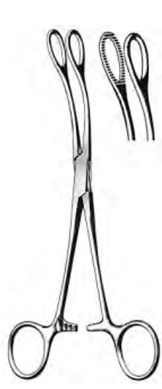 BALLENGER Sponge Forceps, Straight, Serrated jaws, (178cm) 7"