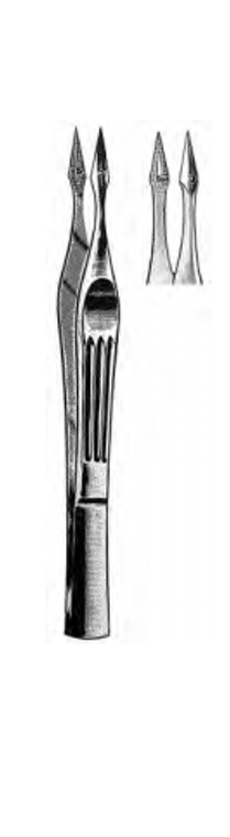 WALTER Splinter Forceps, Straight, (108cm)4-1/4"