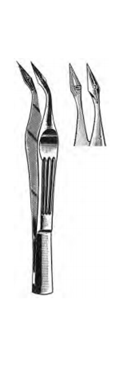 WALTER Splinter Forceps, Curved, (108cm) 4-1/4"