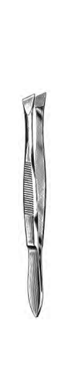 BERGH CILIA Forceps, 5mm wide jaws With horizontal serrations, (89cm)3-1/2"