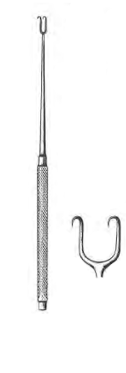 JOSEPH Double Hook, two sharp prongs, 10mm wide, (16cm)6-1/4"