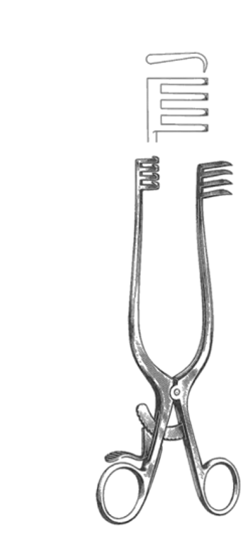 ADSON Retractor, sharp, 4 x 4 teeth, Straight Arms, (191cm)7-1/2"