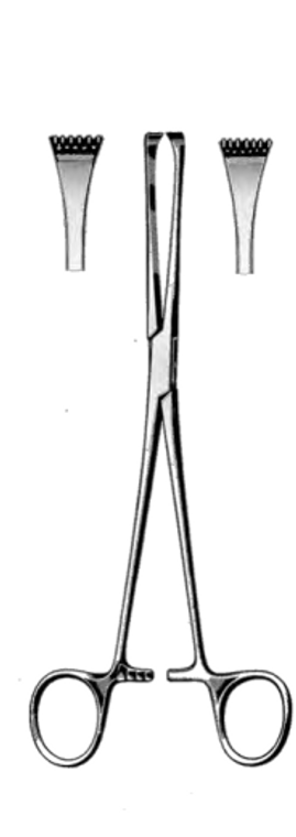 THOMAS-ALLIS Tissue Forceps, 6 x 7 teeth, (20cm) 8"