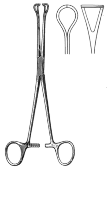 BABCOCK Intestinal Forceps, Jaws 10mm wide, (21cm)8-1/4"