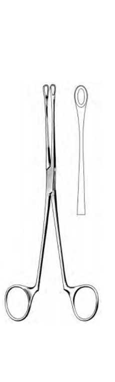 BLAKE Gall Stone Forceps, Straight, (21cm)8-1/4"