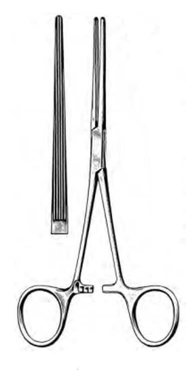 BAINBRIDGE Hemostatic Forceps, Straight, longitudinal serrations w/cross tip serrations7-1/4"