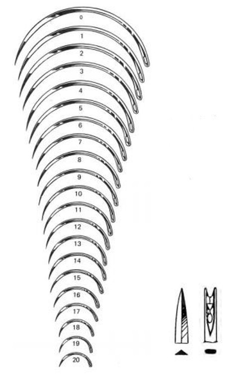 Surgeons' Needle With Spring Eye, 1/2 circle, cutting edge, #5 12/pk