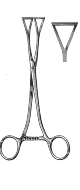 COLLIN-DUVAL Tissue Forceps, With 1" (25cm) wide jaws, (203cm), ring handles 8"