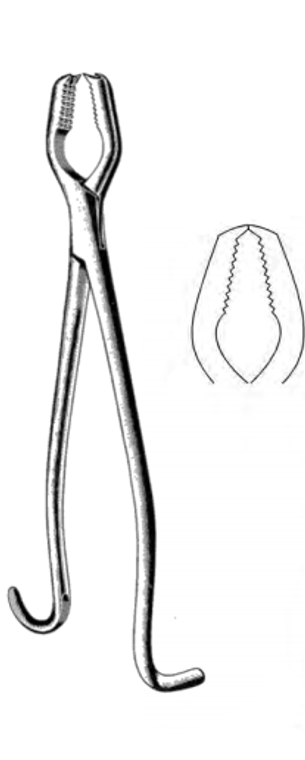 LANE Bone Holding Forceps, plain, (33cm)13"