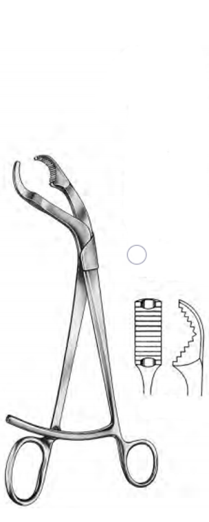 VERBRUGGE Bone Holding Forceps With Long Ratchet, (255cm) 10"