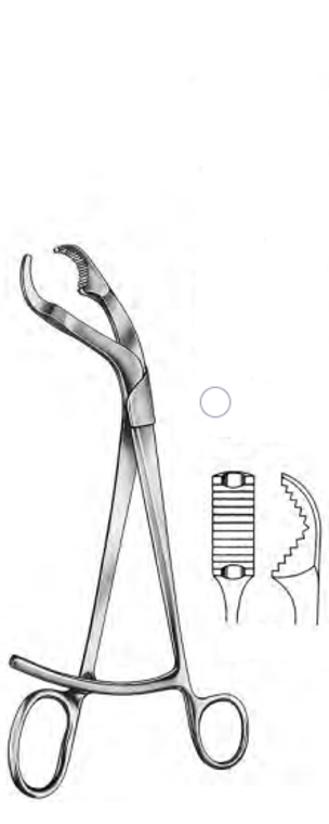 VERBRUGGE Bone Holding Forceps With Long Ratchet, (265cm) 10-1/2"