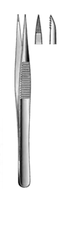 THORPE Corneal & Splinter Forceps, sharp points, fine serrated tips (102 cm) 4"