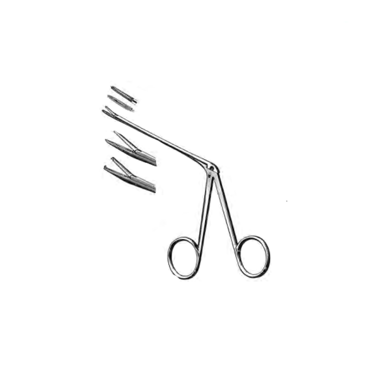 NOYES Alligator Forceps, Serrated jaws, (165cm) shaft6-1/2"