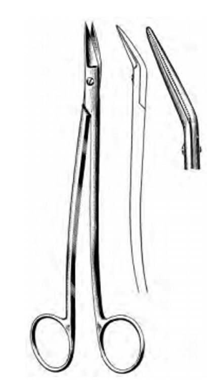 DEAN Dissecting Scissors, Blades angled on flat, One serrated blade, (17cm)6-3/4"