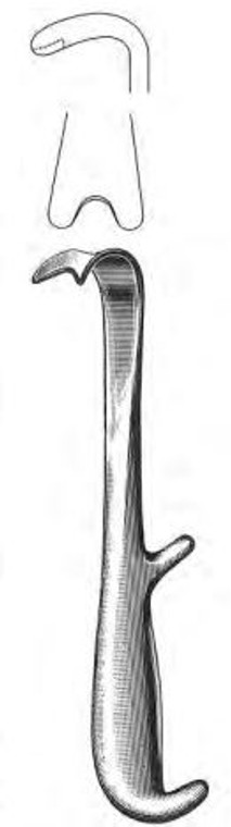 Young Prostatic Retractor, Notched, (22cm)8-3/4"