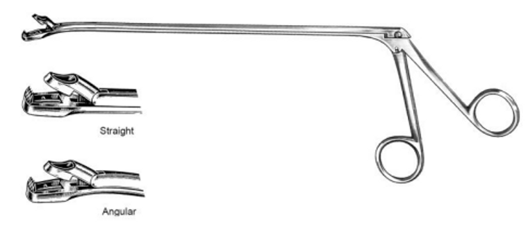 WITTNER Uterine Biopsy Forceps, Angled tip, (215cm) 8-1/2"