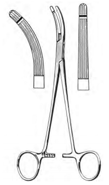 HEANY-BALLENTINE Forceps, Longitudinal Serrations single tooth, Straight, (215cm)8-1/2"