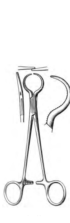 LEWIN Bone Forceps, Serrated, Slightly Curved, (17.8cm)7"