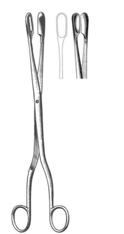 WINTER Placenta Forceps, Cup Jaws, Straight, (27.9cm)11"