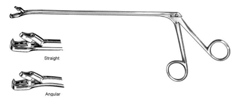 WITTNER Biopsy Forceps, Straight Tip, with Teeth Lower Jaw, (21.6cm)8-1/2