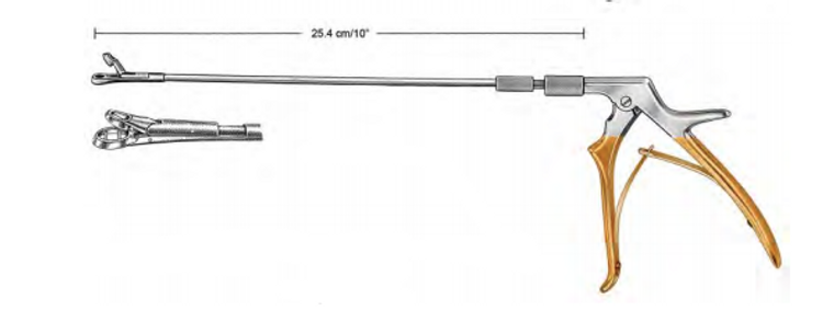 EPPENDORFER Biopsy Forceps, 3.5 x 8mm Bite, (22.9cm)9